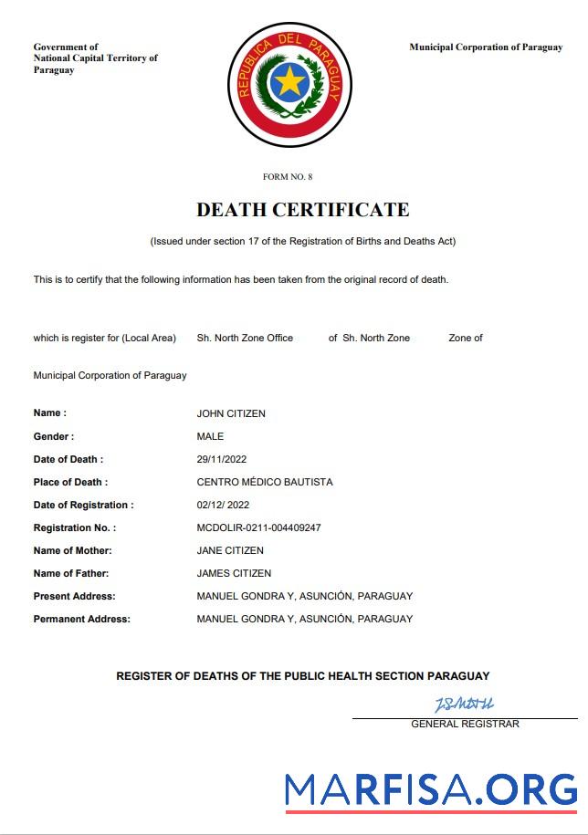 Realistic Paraguay death certificate Word and PDF template